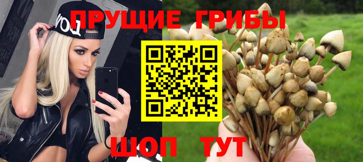 Псилоцибиновые грибы Magic Shrooms  Вход с VPN  Гусиноозёрск  Псилоцибиновые грибы ЛСД 